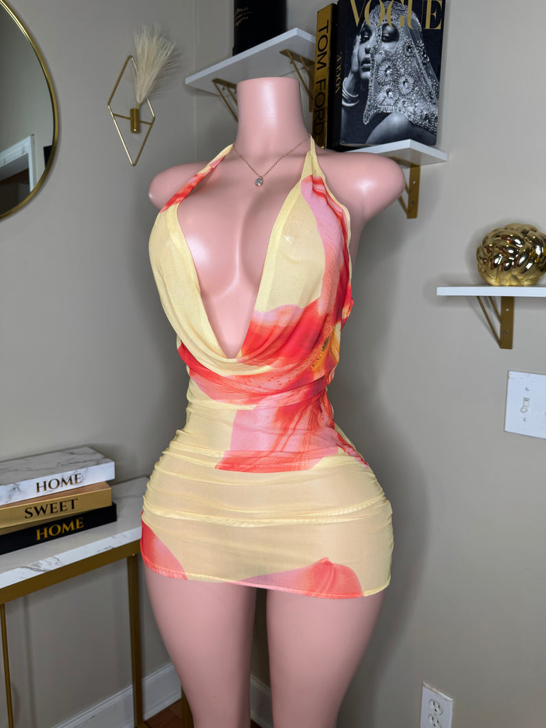 Sunshine Mini Dress